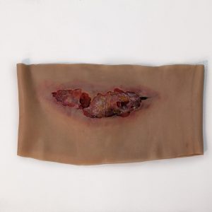 Abdomen Sleeves
