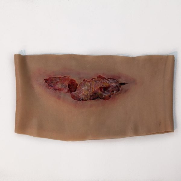 Abdomen Sleeves