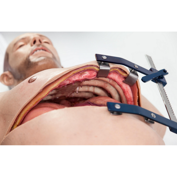 PRO SIMBODIES Thoracotomy Task Trainer