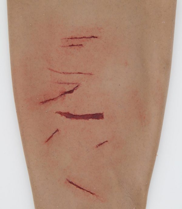 Arm Sleeves - Bilde 4
