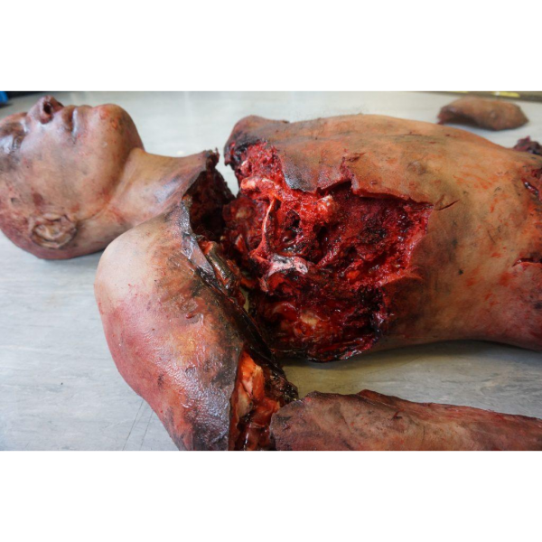 SIMBODIES Lifeless Blasted - Bilde 2