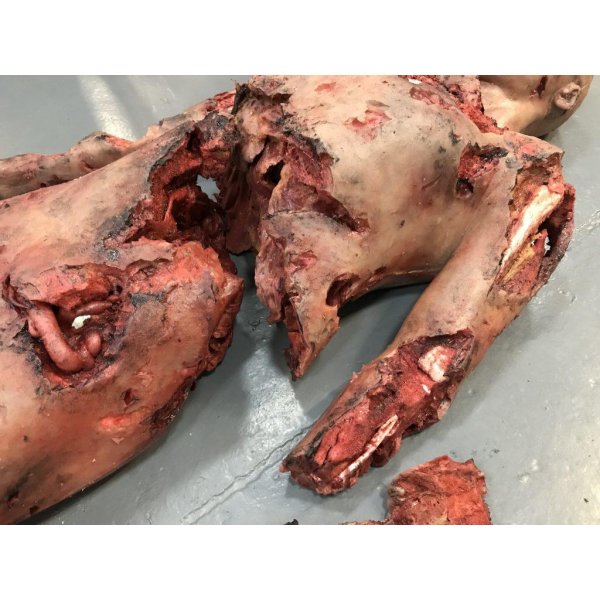 SIMBODIES Lifeless Blasted - Bilde 3