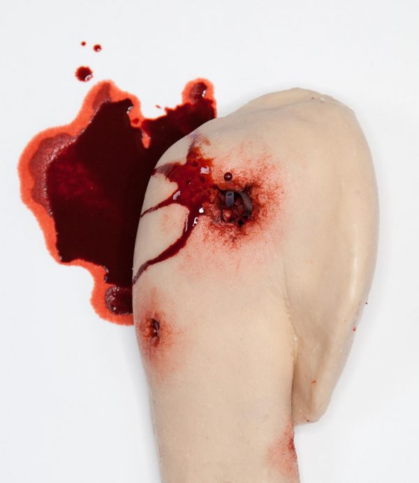 Shoulder Packing Wound Trainer - Bilde 2