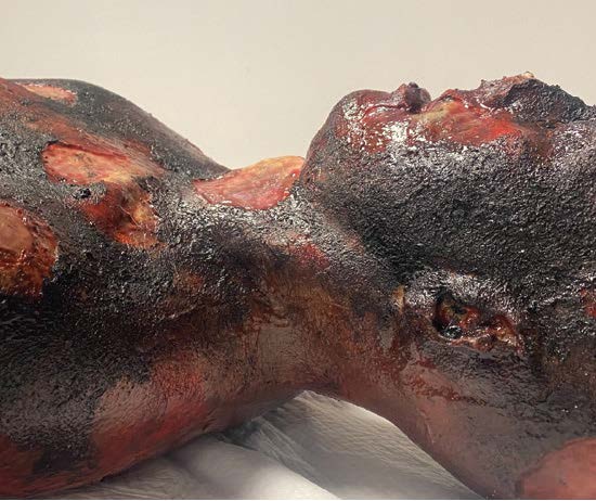 SIMBODIES Lifeless Burnt
