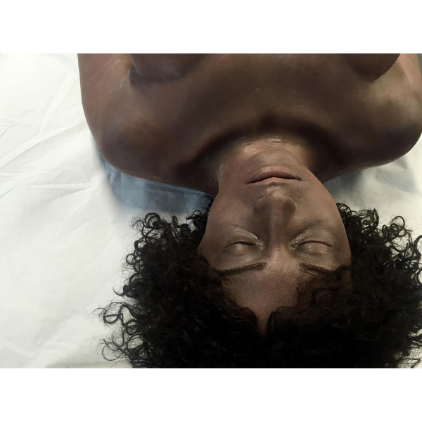 SIMBODIES Adult Female - Bilde 2