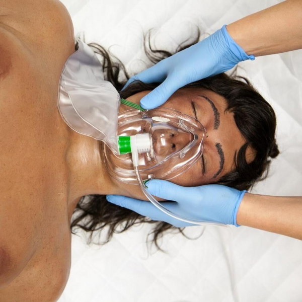 SIMBODIES Adult Female - Bilde 3