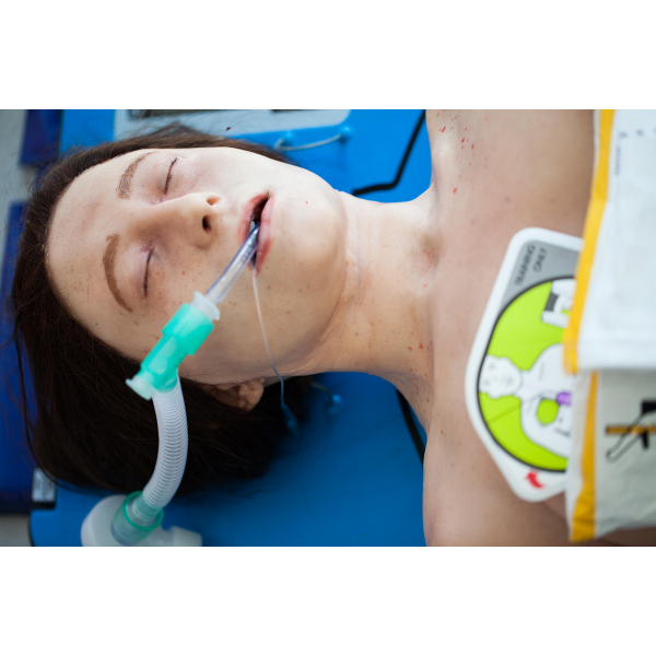 SIMBODIES Adult Female - Bilde 4