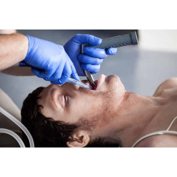 SIMBODIES Adult Male - Bilde 5