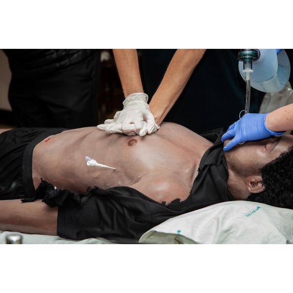 SIMBODIES Adult Male - Bilde 8